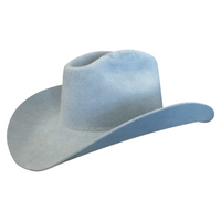 Powder Blue Rancher