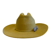 Tassa