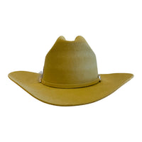 Tassa