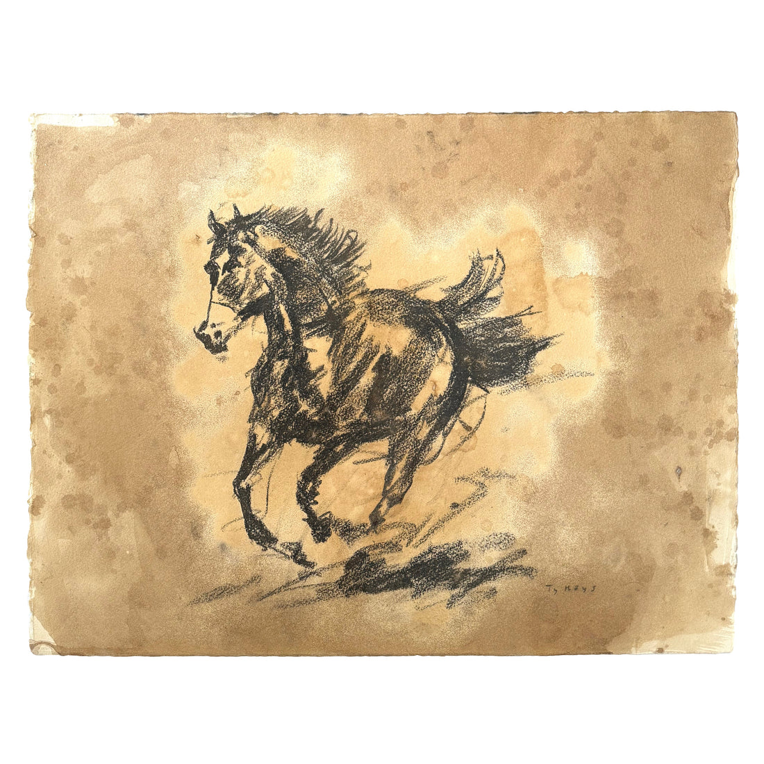 Saddle Spirit