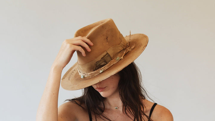 Teressa Foglia display picture 3