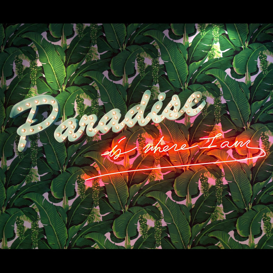 Paradise Is Where I Am Scarf