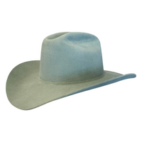 Rancher Felt Hat