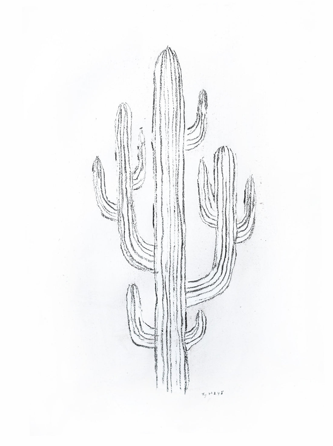 High Cactus